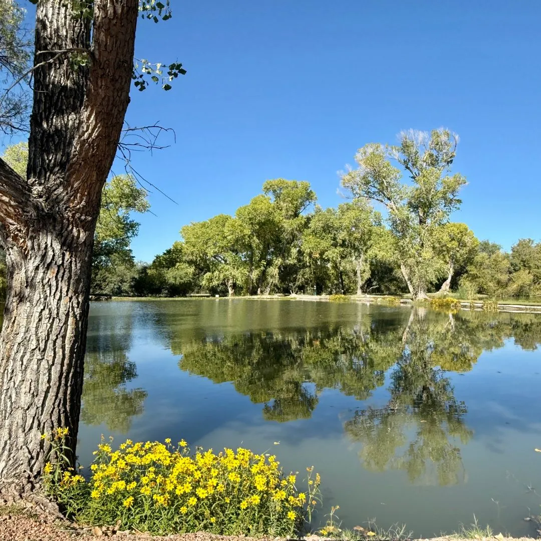 Seasonal stays at The Lakes