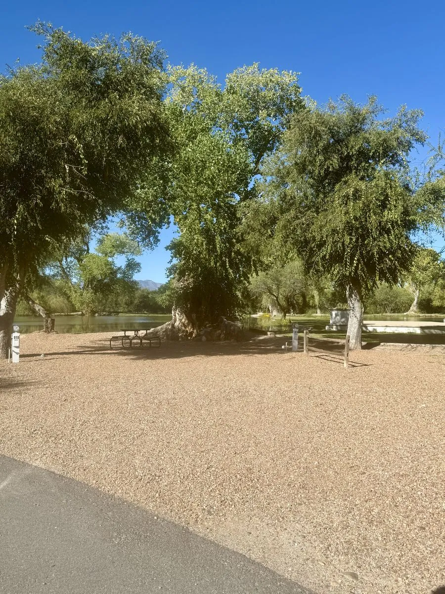 A full-hookup RV site