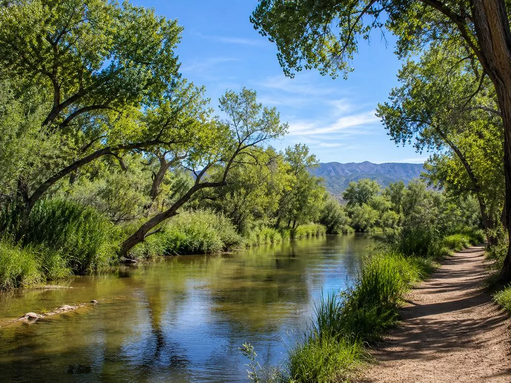 San Pedro Riparian Area